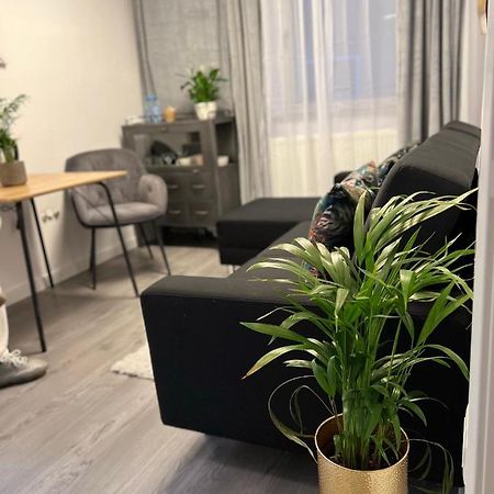 Musai Apartment Brasov Ngoại thất bức ảnh
