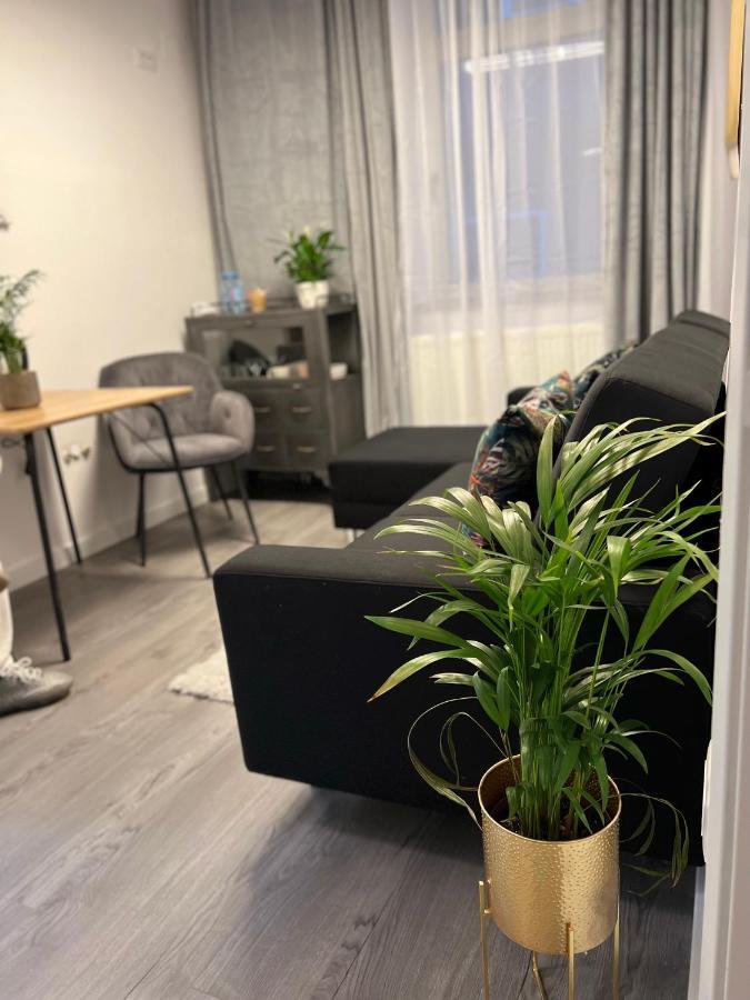 Musai Apartment Brasov Ngoại thất bức ảnh